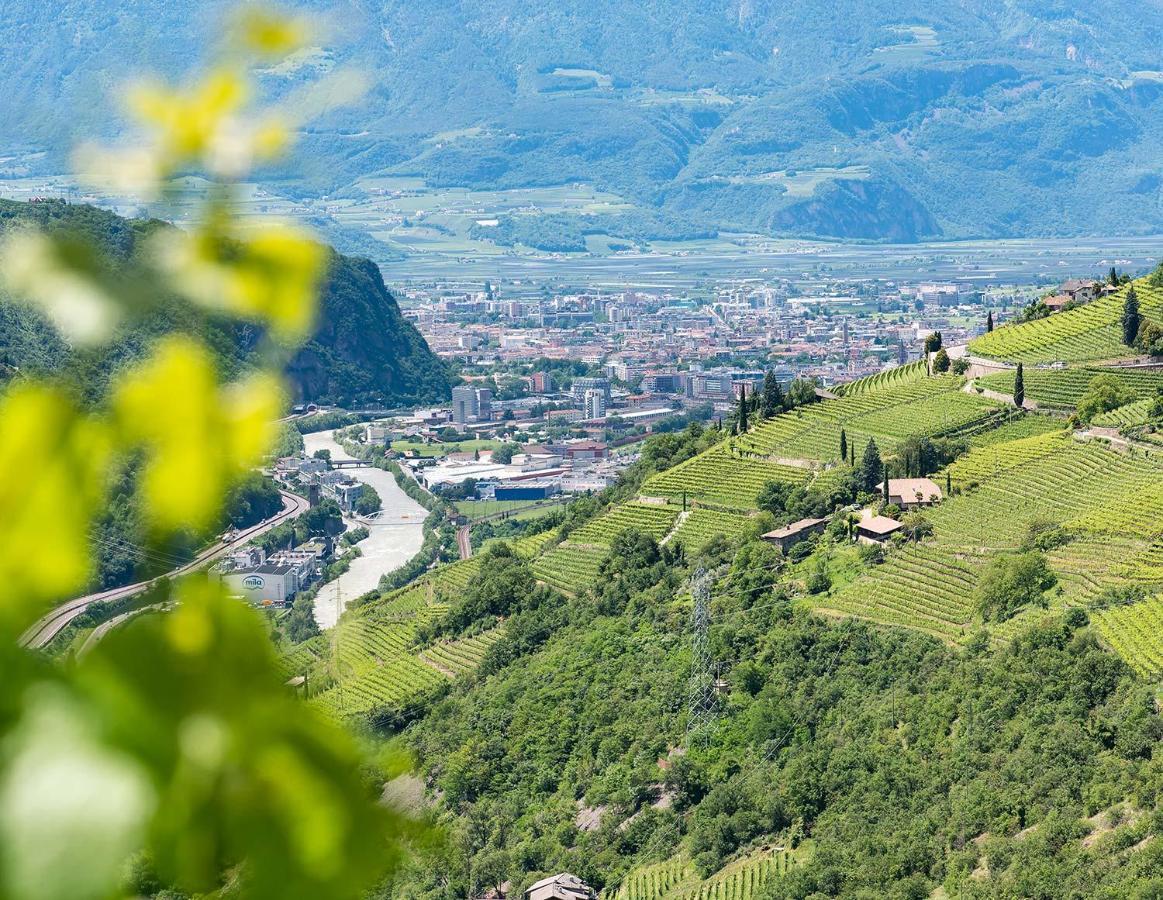 Weingut Schmid Oberrautner Apartment Suites โบลซาโน ภายนอก รูปภาพ